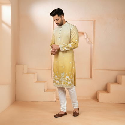 "Janak" Premium quality embroidery kurta in shaded pattern.