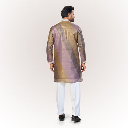 "Kabir" Premium tissue silk kurta with gota work.