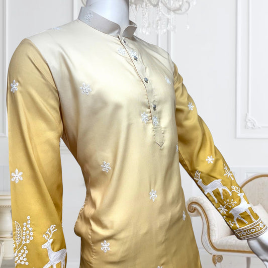 "Janak" Premium quality embroidery kurta in shaded pattern.