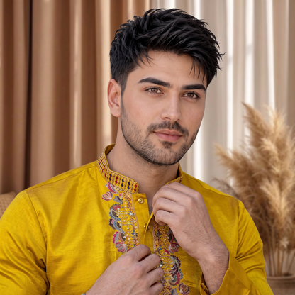 "Parth" Premium embroidery silk kurta with lining.