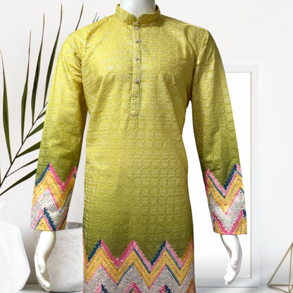 "Krish" Premium border printed kurta with thread work.